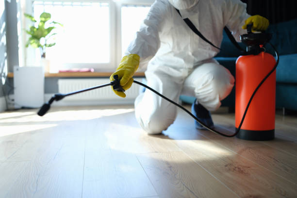 Reliable Odor Removal contractor in Portsmouth, OH by Trauma Clean Pros
